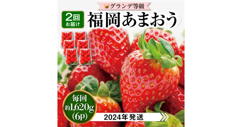 【ふるさと納税】【全2回定期便】【先行予約・2024年3月初旬より順次発送】【 期間限定 】 あまおう いちご 1,620g ( 約 270g × 6パック ) 糸島市 / 株式会社HSP-テクノ [AZL006] グランデ等級 福岡県産 30000円 3万円