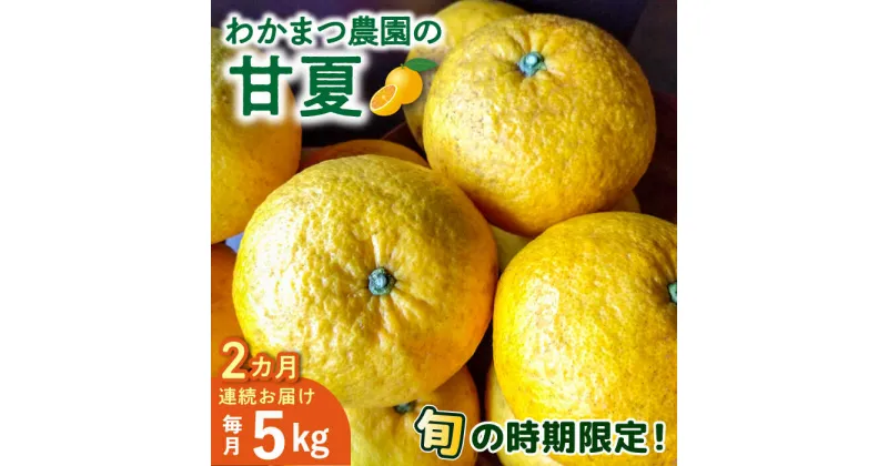 【ふるさと納税】【全2回定期便】【有機栽培】甘夏 5kg 栽培期間中 農薬不使用 糸島市 / わかまつ農園 [AHB052] 22000円 果物 フルーツ