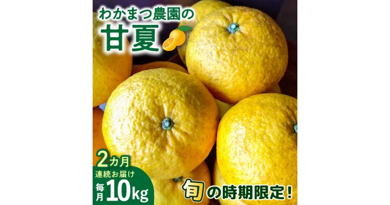 【ふるさと納税】【全2回定期便】【有機栽培】甘夏 10kg 栽培期間中 農薬不使用 糸島市 / わかまつ農園 [AHB051] 37000円 果物 フルーツ