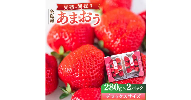 【ふるさと納税】＼農園直送！／糸島産 完熟あまおう 280g×2パック (デラックスサイズ) 糸島市 / 小河農園 [AJN001] 12000円 いちご 苺 新着