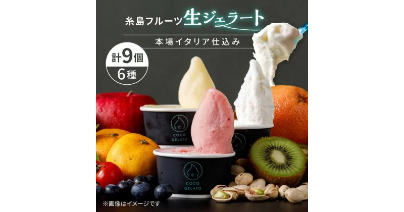 【ふるさと納税】＼本場イタリア仕込み／糸島 フルーツ 生ジェラート 9個セット 糸島市 / COCO GELATO[AON001] 15000円