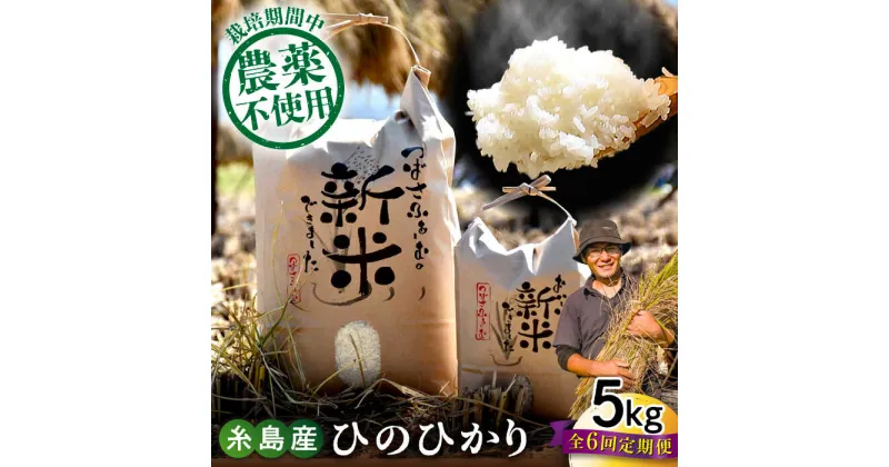 【ふるさと納税】【全6回定期便】 糸島産 雷山のふもとの米 農薬不使用 5kg 糸島市 / ツバサファーム 米/白米/玄米/ヒノヒカリ [ANI004] 常温 74000円