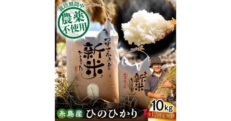 【ふるさと納税】【全12回定期便】 糸島産 雷山のふもとの米 農薬不使用 10kg 糸島市 / ツバサファーム 米/白米/玄米/ヒノヒカリ [ANI008] 常温 280000円 28万