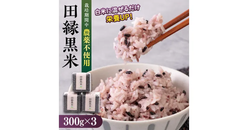 【ふるさと納税】【新米先行予約】田縁黒米（でんえんくろまい）300g×3パック 【2024年11月以降順次発送】糸島市 / NPO法人田縁プロジェクト[ATM003] 古代米 黒米 常温 11000円