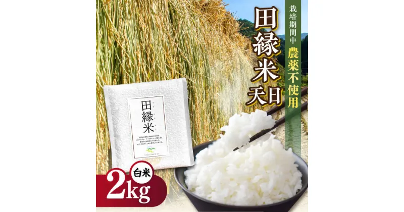 【ふるさと納税】【新米先行予約】田縁米（でんえんまい）・天日（てんじつ）白米2kg 【2024年11月以降順次発送】 糸島市 / NPO法人田縁プロジェクト 米 お米 ご飯 [ATM001] 11000円 常温