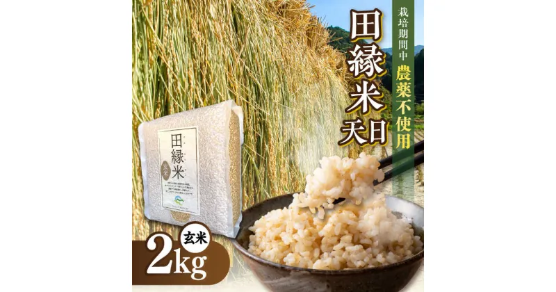 【ふるさと納税】【新米先行予約】田縁米（でんえんまい）・天日（てんじつ）玄米2kg 【2024年11月以降順次発送】糸島市 / NPO法人田縁プロジェクト 米 お米 ご飯 [ATM002] 10000円 常温 お試し