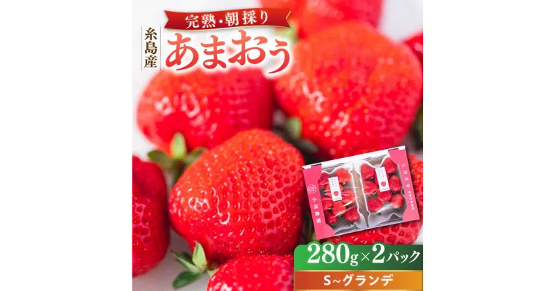 【ふるさと納税】【先行予約】＼農園直送！／糸島産 完熟あまおう 280g×2パック (S～グランデサイズ) 糸島市 / 小河農園【2025年2月中旬以降順次発送】[AJN003] いちご フルーツ 果物 8000円 8千円