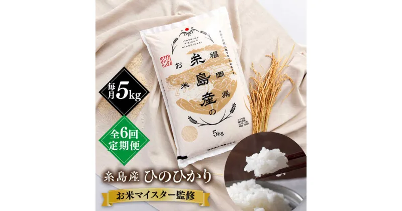 【ふるさと納税】【全6回定期便】【こだわり精米】令和5年 糸島産 ひのひかり 5kg 糸島市 / RCF 米 お米マイスター[AVM007] 60000円 6万円 常温