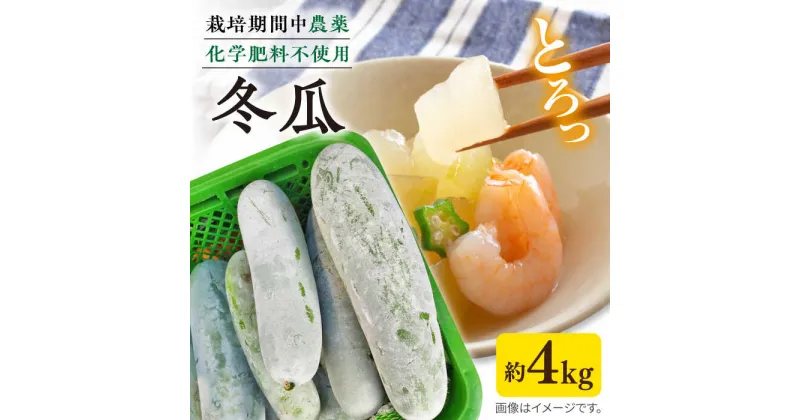 【ふるさと納税】糸島産 冬瓜 約4kg 糸島市 / 食と健康のブリッジベース[ANN002] 野菜 冬瓜スープ 10000円 1万円