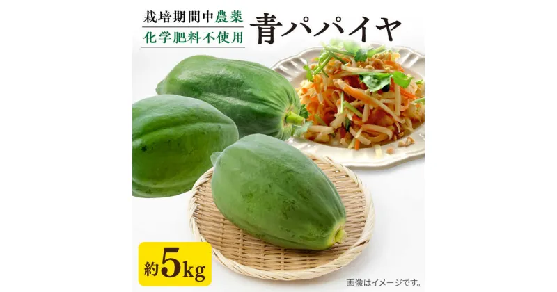 【ふるさと納税】糸島産 青パパイヤ 約5kg 糸島市 / 食と健康のブリッジベース[ANN001] 野菜 タイ料理 沖縄料理 18000円