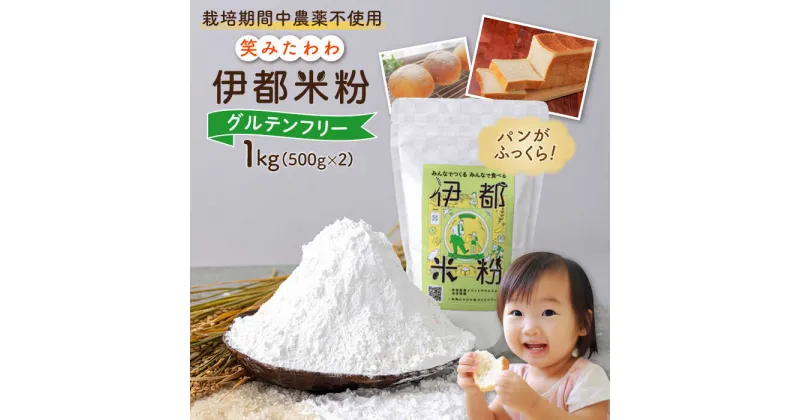 【ふるさと納税】伊都 米粉 笑みたわわ 1kg 500g×2 糸島市 / フルタク グルテンフリー 米 製菓パン向き [AHN008] 10000円 1万円 常温