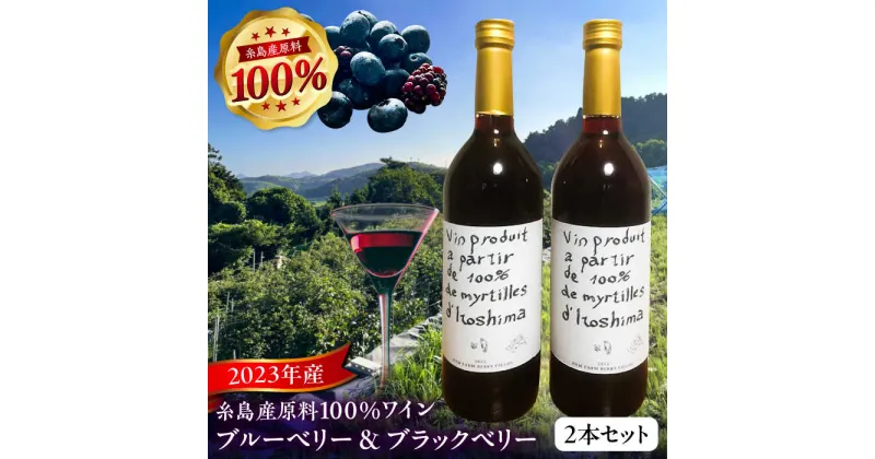 【ふるさと納税】2023年産 糸島産ブルーベリー・ブラックベリーワイン 720ml×2種セット 糸島市 / HYM FARM ワイン ブルーベリー[AHM002]