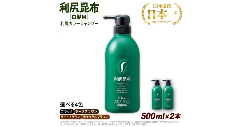 【ふるさと納税】【2本入】［白髪用］ 利尻カラーシャンプー 大容量サイズ 糸島市 / 株式会社ピュール ヘアケア シャンプー[AZA066]