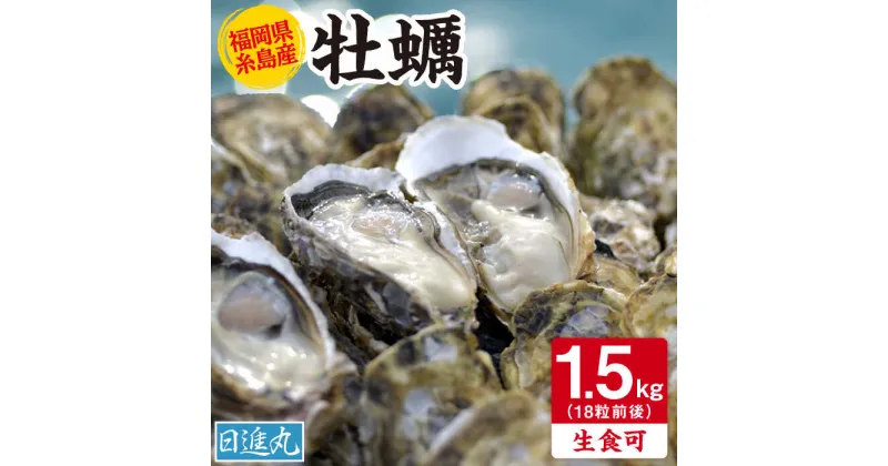 【ふるさと納税】福岡県糸島産 殻付き牡蠣 生食可 1.5kg(18粒前後) 糸島市 / 日進丸 牡蛎 カキ [AWA011] 10000円 1万円