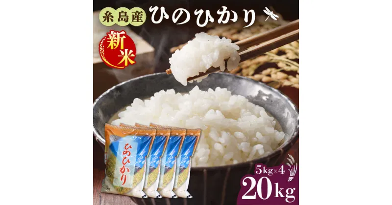 【ふるさと納税】【先行予約】糸島産 ひのひかり 20kg【2024年11月以降順次発送】 糸島市 / 三島商店[AIM075] 35000円 40000円 4万円