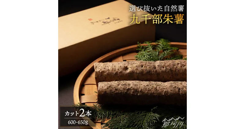 【ふるさと納税】【選び抜いた「粘り」と「香り」】 先行予約！自然薯 「九千部朱薯」600g〜650g（2本）＜株式会社九千部＞那珂川市 [GAZ001]14000 14000円