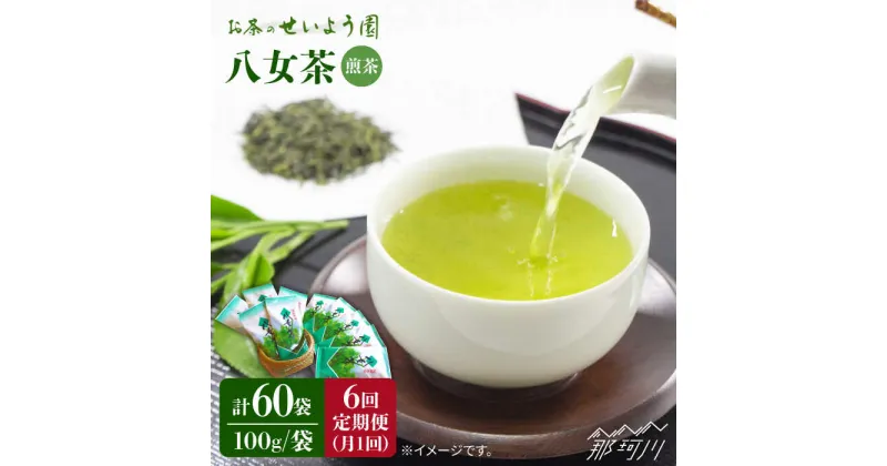 【ふるさと納税】【全6回定期便】八女茶 10袋（1kg）セット ＜お茶の星陽園＞那珂川市 定期便 お茶 緑茶 茶葉 [GAD009]126000 126000円