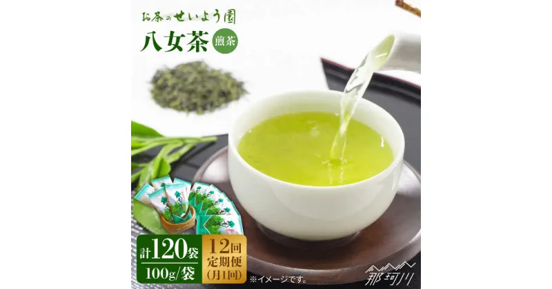 【ふるさと納税】【全12回定期便】八女茶 10袋（1kg）セット ＜お茶の星陽園＞那珂川市 定期便 お茶 緑茶 茶葉 [GAD010]252000 252000円