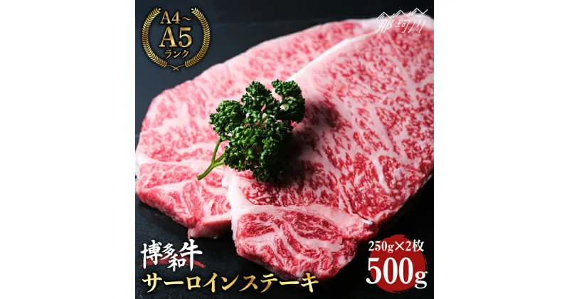 【ふるさと納税】【大満足！牛肉の王様】博多和牛 牛肉 サーロイン ステーキ 500g（250g×2）＜肉のくまもと屋＞那珂川市 牛肉 黒毛和牛 ブランド牛 国産 BBQ バーベキュー 和牛 九州産 赤身 お肉 肉[GBI002]27000 27000円