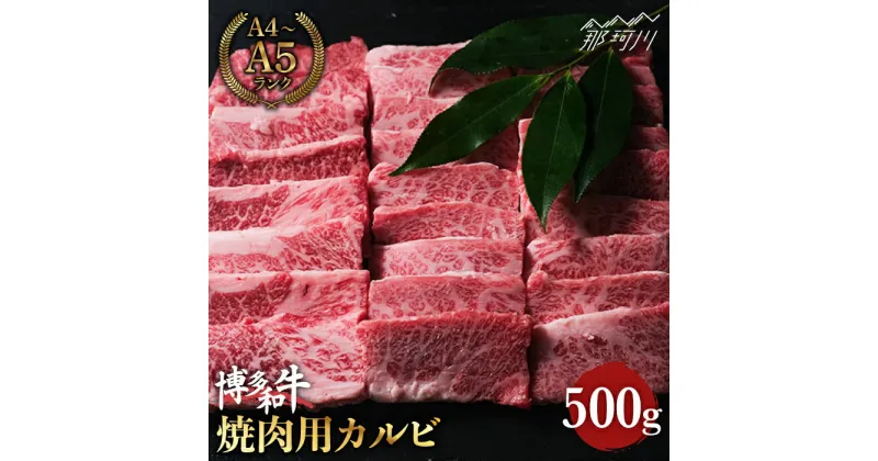 【ふるさと納税】【赤身と霜降りの絶妙なバランス】博多和牛 牛肉 焼き肉 バラ（カルビ）500g ＜肉のくまもと屋＞ 那珂川市 牛肉 肉 黒毛和牛 ブランド牛 国産 BBQ バーベキュー 焼肉用 BBQ やきにく キャンプ[GBI012]16000 16000円