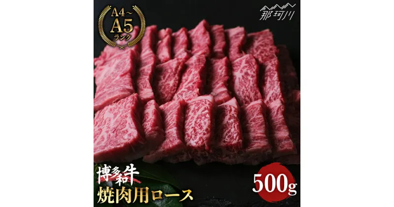 【ふるさと納税】【きめ細やかな霜降り】博多和牛 牛肉 焼肉 ロース 500g＜肉のくまもと屋＞那珂川市 牛肉 肉 黒毛和牛 ブランド牛 国産 BBQ バーベキュー [GBI024]21000 21000円