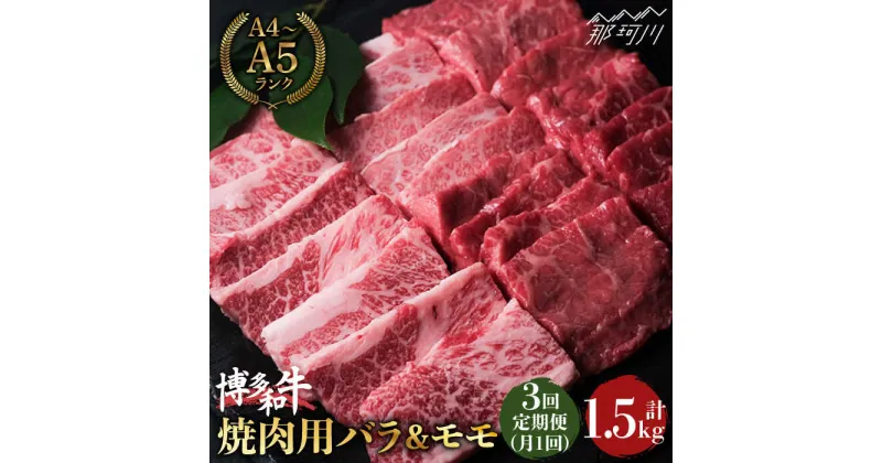 【ふるさと納税】【全3回定期便】博多和牛 牛肉 焼肉 バラ モモ 500g ＜肉のくまもと屋＞那珂川市 定期便 牛肉 肉 黒毛和牛 ブランド牛 国産 BBQ バーベキュー A5ランク 定期便 焼肉用 九州産 [GBI041]46000 46000円