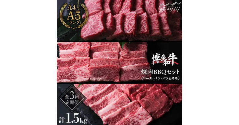 【ふるさと納税】【全3回定期便】博多和牛 牛肉 焼肉 BBQ 定期便＜肉のくまもと屋＞那珂川市 定期便 牛肉 肉 黒毛和牛 ブランド牛 国産 BBQ バーベキュー 和牛 セット もも バラ 定期便 ロース A5ランク[GBI047]52000 52000円