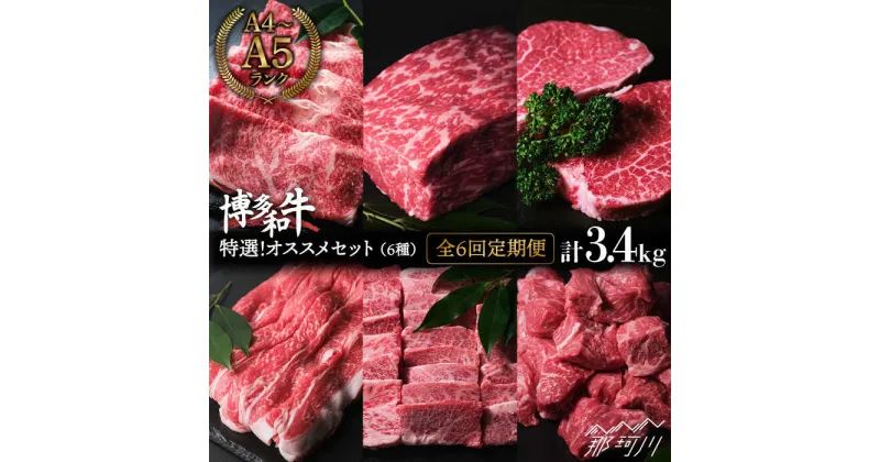 【ふるさと納税】【全6回定期便】特選！博多和牛 牛肉6種 オススメ定期便＜肉のくまもと屋＞那珂川市 定期便 牛肉 肉 黒毛和牛 ブランド牛 国産 BBQ バーベキュー 和牛 ロース もも ステーキ ヒレ 切り落とし バラ 焼肉 定期便 [GBI048]120000 120000円