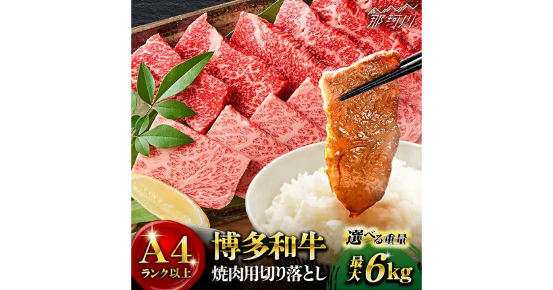 【ふるさと納税】【選べる定期便】【和牛の旨味を堪能！】博多和牛 牛肉 焼肉 500g バラ ロース モモ＜株式会社MEAT PLUS＞那珂川市 [GBW003]▽牛肉 博多和牛 黒毛和牛 和牛 国産牛 高級牛