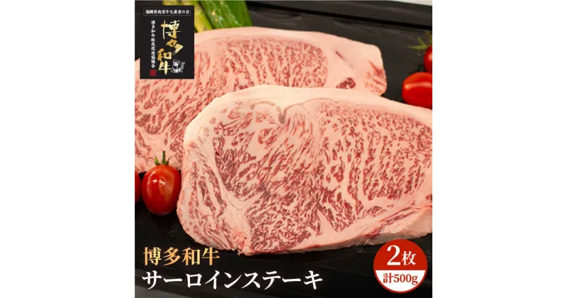 【ふるさと納税】博多和牛 牛肉 A5 A4 サーロイン ステーキ 2枚（計500g）＜株式会社チクゼンヤ＞那珂川市 牛肉 肉 黒毛和牛 ブランド牛 国産 BBQ バーベキュー [GCF004]27000 27000円