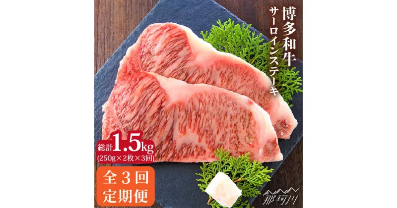 【ふるさと納税】【全3回定期便】博多和牛 牛肉 サーロイン ステーキ 500g（250g×2枚）＜株式会社MEAT PLUS＞那珂川市 定期便 牛肉 肉 黒毛和牛 ブランド牛 国産 BBQ バーベキュー▽希少部位 レア 記念日 料理 家庭用 定期便 黒毛和牛 国産牛 [GBW016] 59000 59000円