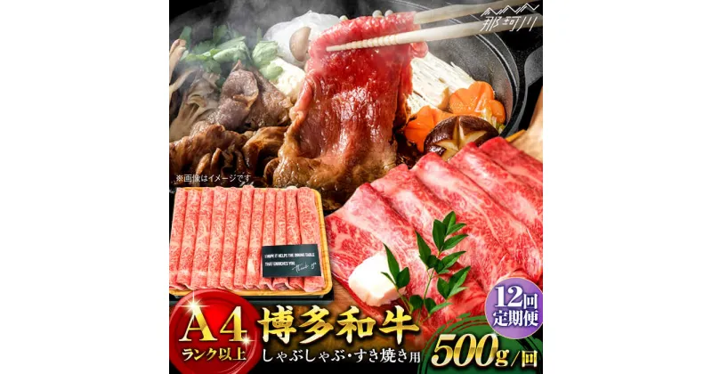 【ふるさと納税】【全12回定期便】博多和牛 牛肉 スライス しゃぶしゃぶ すき焼き 500g＜株式会社MEAT PLUS＞那珂川市 定期便 牛肉 肉 黒毛和牛 ブランド牛 国産 BBQ バーベキュー▽牛肉 定期便 博多和牛 黒毛和牛 和牛 国産牛 [GBW024] 132000 132000円