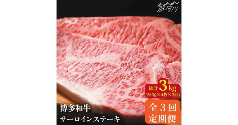 【ふるさと納税】【全3回定期便】博多和牛 牛肉 サーロイン ステーキ 1kg（250g×4枚）＜株式会社MEAT PLUS＞那珂川市 定期便 牛肉 肉 黒毛和牛 ブランド牛 国産 BBQ バーベキュー ▽定期 牛肉 贅沢 希少部位 希少肉 レア 定期便 博多和牛[GBW037] 93000 93000円