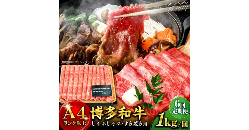 【ふるさと納税】【全6回定期便】博多和牛 牛肉 スライス しゃぶしゃぶ すき焼き 1kg（500g×2p）＜株式会社MEAT PLUS＞那珂川市 定期便 牛肉 肉 黒毛和牛 ブランド牛 国産 BBQ バーベキュー ▽定期 牛肉 定期便 博多和牛 黒毛和牛[GBW041] 118000 118000円