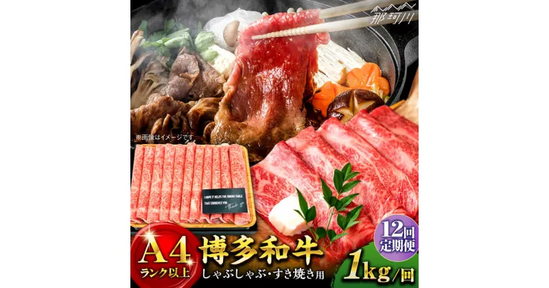 【ふるさと納税】【全12回定期便】博多和牛 牛肉 スライス しゃぶしゃぶ すき焼き 1kg（500g×2p）＜株式会社MEAT PLUS＞那珂川市 定期便 牛肉 肉 黒毛和牛 ブランド牛 国産 BBQ バーベキュー ▽定期 牛肉 定期便 博多和牛 黒毛和牛[GBW042] 235000 235000円