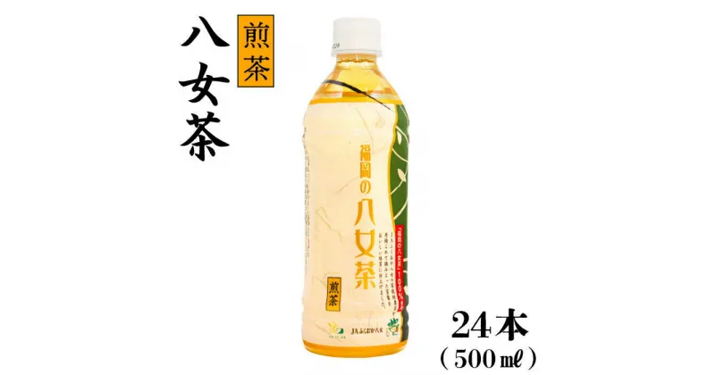 【ふるさと納税】福岡 八女茶 煎茶 500ml×24本入り＜一般社団法人地域商社ふるさぽ＞那珂川市 お茶 緑茶 [GBX033]13000 13000円