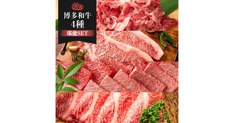 【ふるさと納税】博多和牛 堪能セット ＜株式会社MEAT PLUS＞那珂川市▽おすすめ 人気 牛肉 肉 博多和牛 黒毛和牛 和牛 国産牛 高級牛 ステーキ 焼肉 焼き肉 サーロイン しゃぶしゃぶ すき焼き 切り落とし 惣菜 [GBW105]45000 45000円