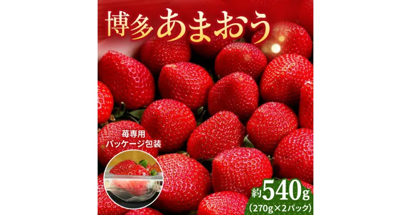 【ふるさと納税】【2024年12月上旬より発送】先行予約！農家直送 朝採り新鮮いちご【博多あまおう】約270g×2パック＜株式会社H&Futures＞ 那珂川市 いちご フルーツ くだもの 果物 あまおう 九州産 苺 国産 [GDS001]12000 12000円