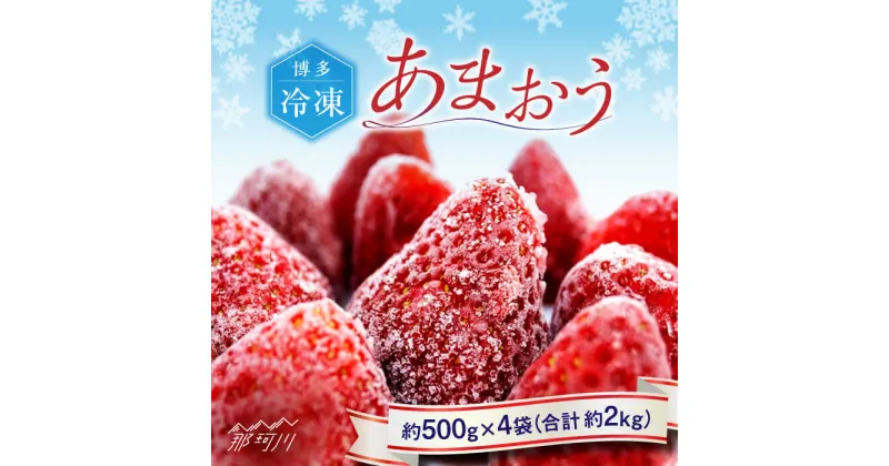 【ふるさと納税】福岡県産【博多冷凍あまおう】約500g×4袋 合計約2kg＜株式会社H&Futures＞ 那珂川市 いちご フルーツ くだもの 果物 あまおう 九州産 苺 国産 冷凍いちご[GDS007]16000 16000円