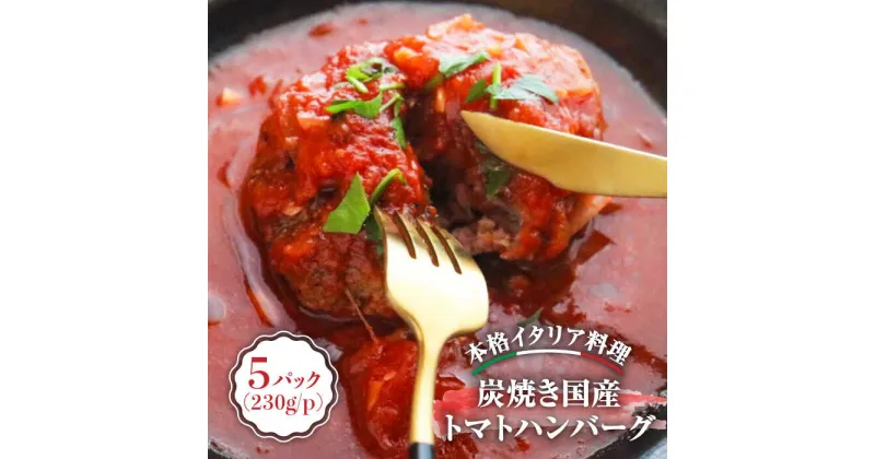 【ふるさと納税】炭焼き 国産 ハンバーグ (トマトソース) 230g×5個＜PUNTO MARE＞那珂川市 ハンバーグ お惣菜 洋食 国産 炭焼き イタリアン トマト[GCB004]19000 19000円