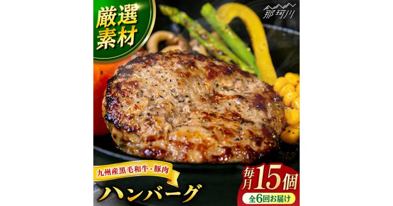 【ふるさと納税】【全6回定期便】九州産黒毛和牛と九州産豚肉 ハンバーグ 15個セット＜なかがわ市場 うしじま＞那珂川市[GAR012]166000 166000円