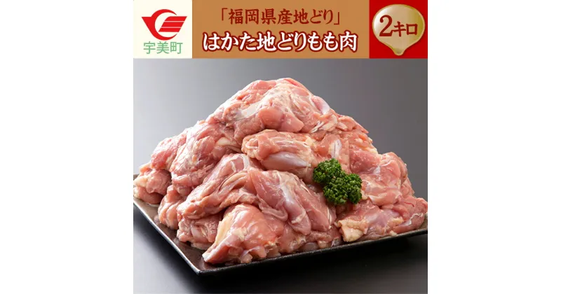 【ふるさと納税】はかた地どり もも肉 2kg 送料無料 鶏肉 YZ001