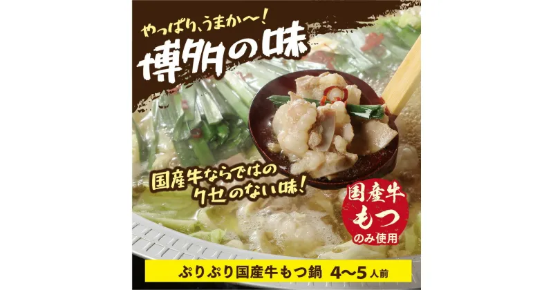 【ふるさと納税】国産もつ鍋 (しょうゆ味) 600g 4〜5人前 小分け 冷凍 送料無料 国産牛 鍋 セット EZ006