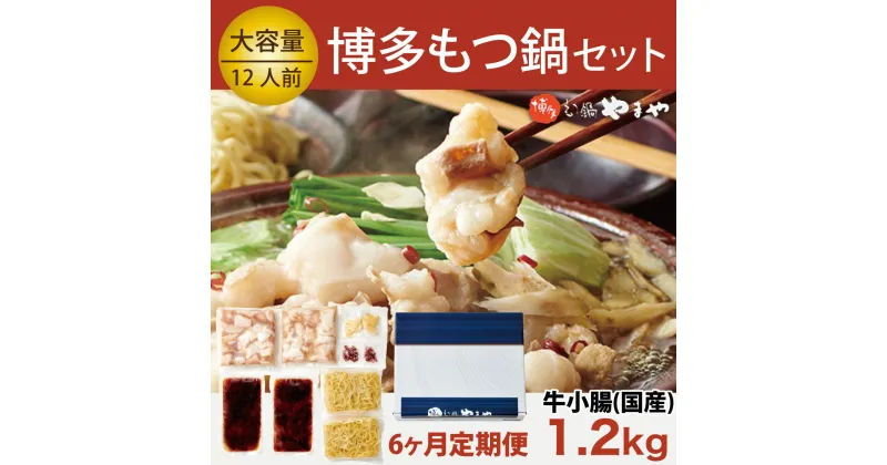 【ふるさと納税】定期便 やまや 博多もつ鍋セット 牛もつたっぷり1.2kg！12人前（全6回）送料無料 鍋 セット先行予約2023年3月1日以降順次出荷 EY013