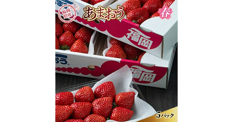 【ふるさと納税】あまおう 苺 イチゴ 送料無料 ギフト 福岡産 春 5パック　先行予約※2025年2月上旬から2025年3月下旬に順次発送予定 いちご フルーツ 果物 くだもの スイーツ ケーキ スムージー AX004