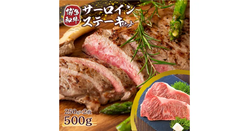 【ふるさと納税】博多和牛 サーロインステーキセット 500g (250g×2枚) 送料無料 牛肉 黒毛和牛 贈り物 贈答 ギフト DX005