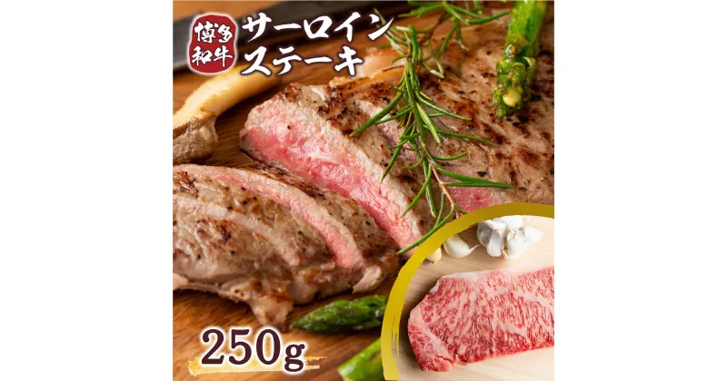 【ふるさと納税】博多和牛サーロインステーキ 250g 250g×1枚 送料無料 牛肉 黒毛和牛 DX009