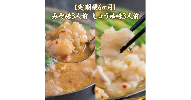 【ふるさと納税】 定期便6ヶ月 みそ味3人前としょうゆ味3人前を交互にお届け 送料無料 もつ鍋 牛モツ ギフト 贈り物 定期便 福岡 XY023