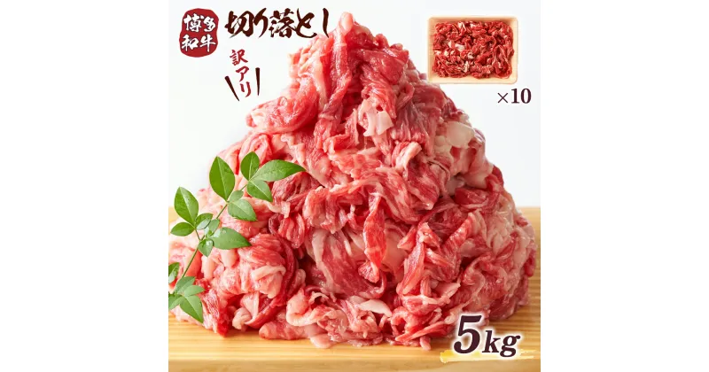 【ふるさと納税】訳アリ 博多和牛切り落とし 5kg 500g×10p 送料無料 牛肉 黒毛和牛 冷凍 焼肉 肉じゃが 炒め物 牛丼 カレー シチュー DX033