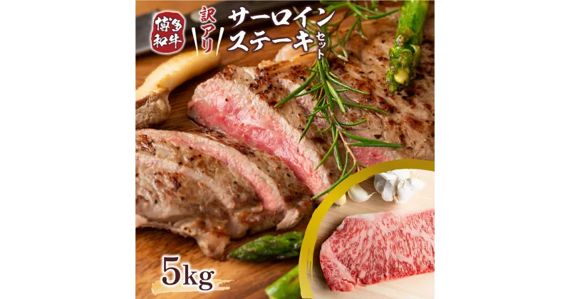 【ふるさと納税】訳アリ 博多和牛サーロインステーキセット 5kg 250g×20枚 送料無料 牛肉 黒毛和牛 国産 ステーキ DX034